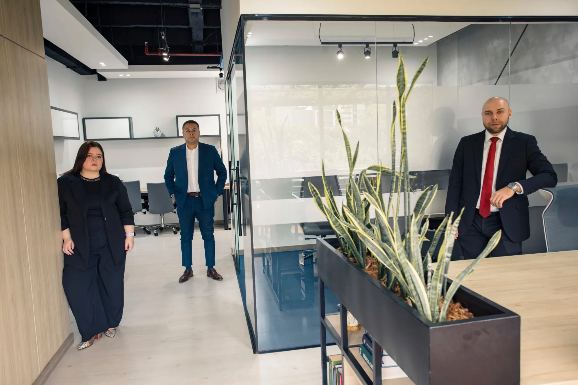 Los socios en la oficina de Efficia